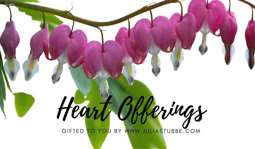 Heart Clearing Guided Meditation