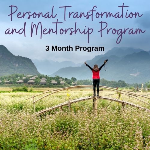 Personal Mentorship and Transformation Program
