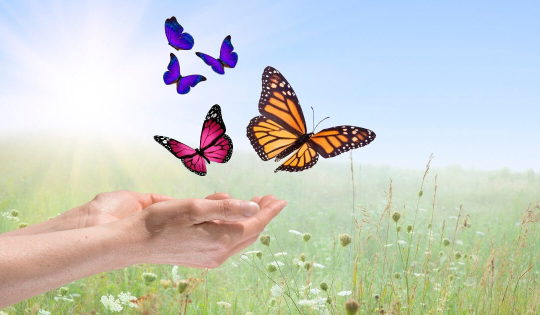 Releasing Beliefs That Make Us Feel Unsafe: A Quantum Healing Journey