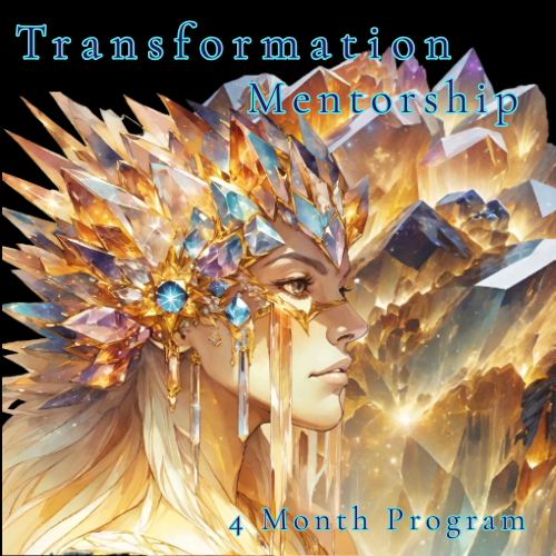 Personal Transformation and Mentorship Program
